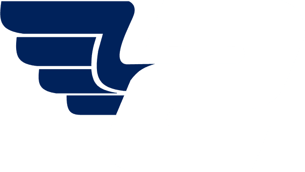 Step 2 icon
